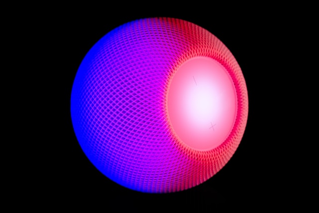Voice AI